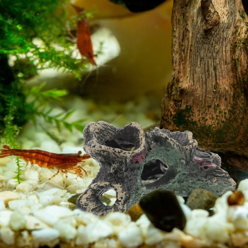 Aquarium Deko Felsen Aquarium großes Treibholz für Höhle - Bild 12 von 12