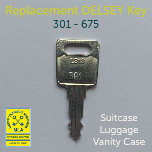 DELSEY Replacement Spare Key Cut To Code 301 675 Suitcase Luggage