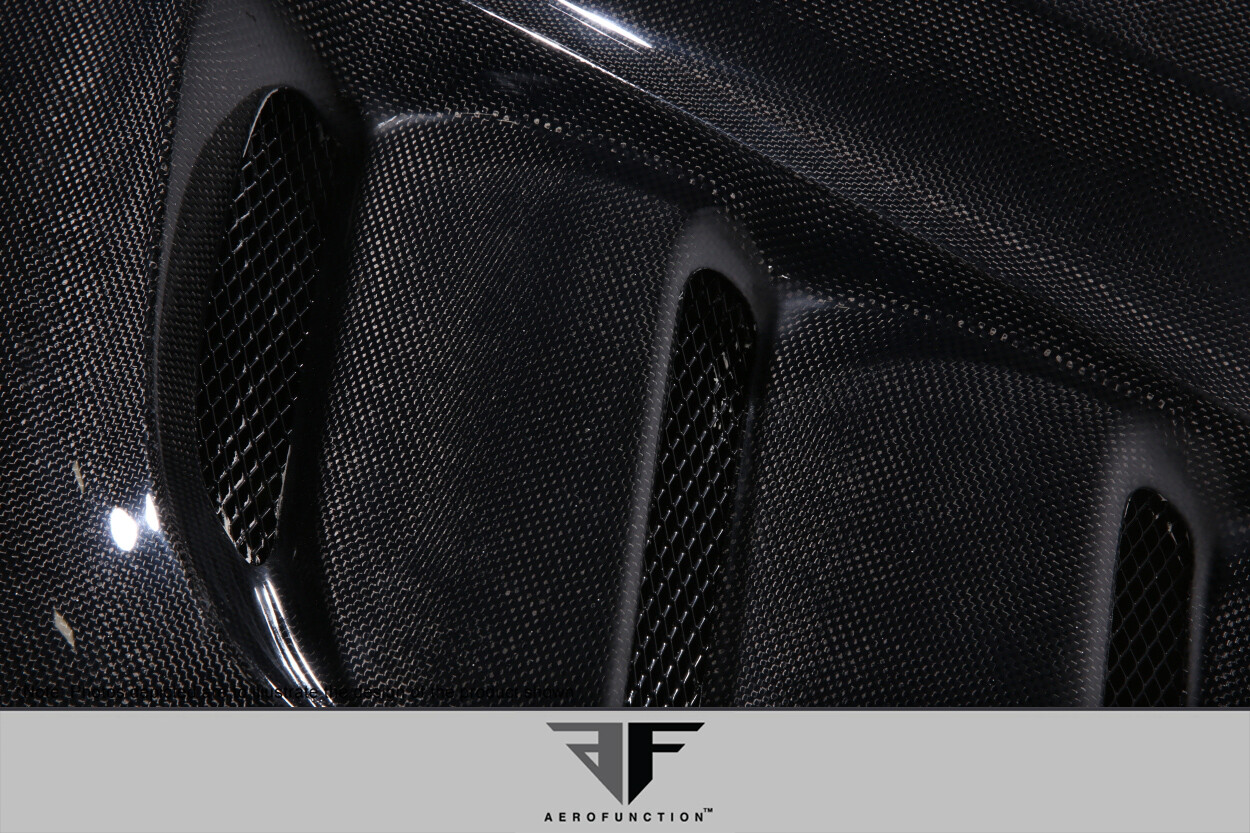 06-12 Ferrari 599 AF-1 Race Aero Function Body Kit- Hood 113741