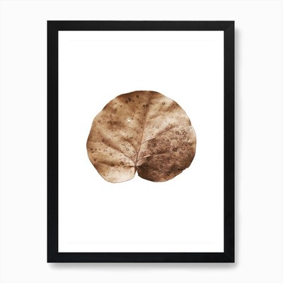 Getrocknetes Blatt Kunstdruck Gerahmtes Wandbild Poster Leinwanddruck Bild