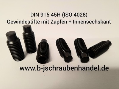 DIN 915 - 45H ISO 4028 Gewindestifte mit Zapfen+Innensechskant blank M10 M12