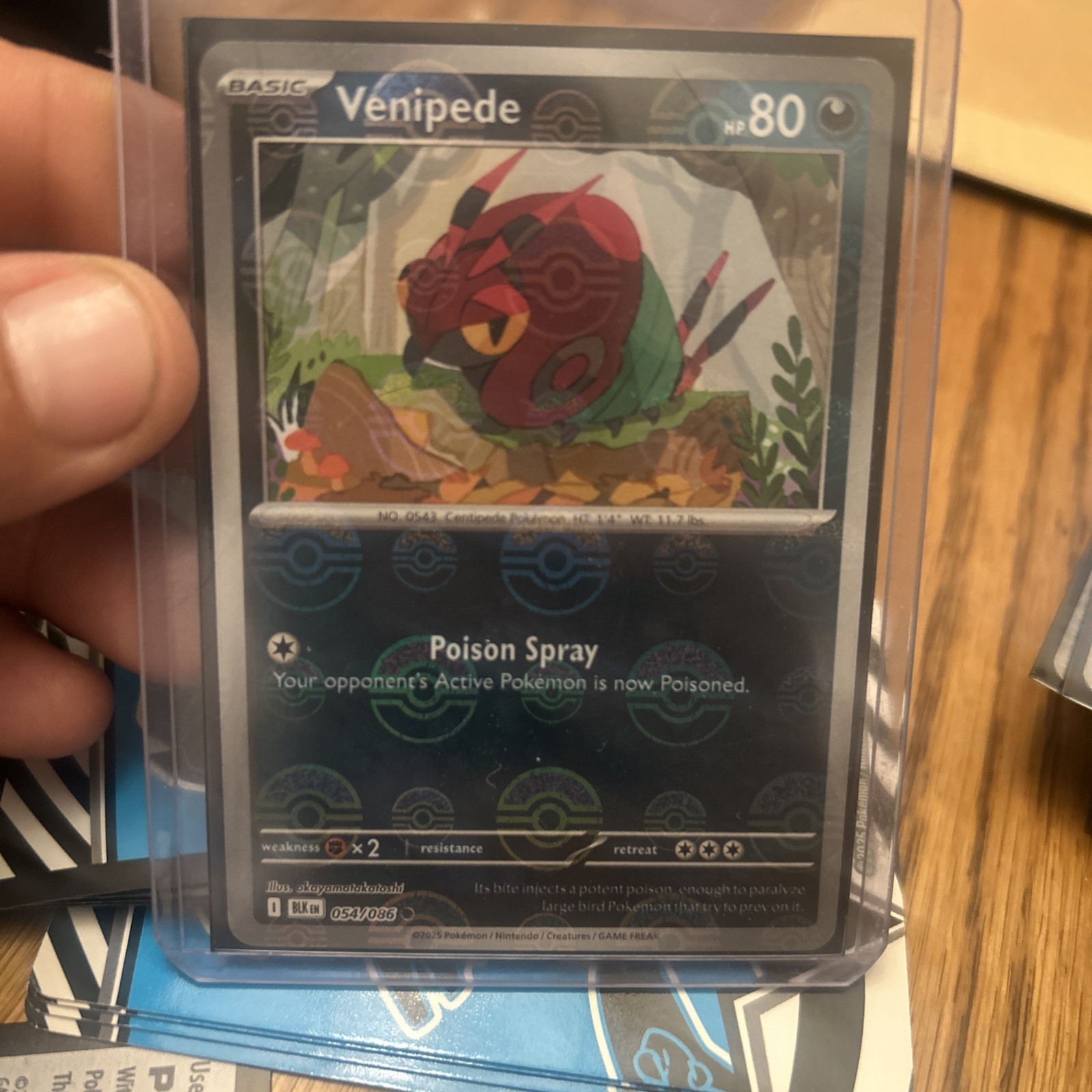 Venipede 054/086 NM – Master Ball Reverse Holo – 2025 TCG Pokémon Black Bolt