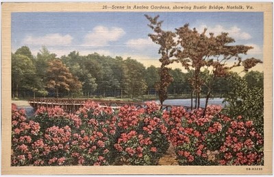 Vintage Azalea Gardens Rustic Bridge Norfolk Virginia Linen Postcard Unposted
