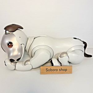 Sony Aibo Ers 1000 | eBay