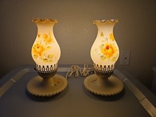 2 lámparas de mesa auxiliar de cama toudoir pintadas a mano de vidrio esmerilado rosas rosas rosas florales de colección
