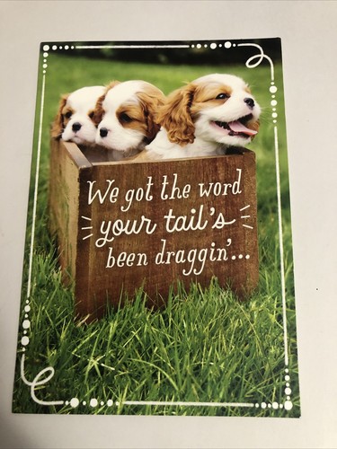 Get Well Soon - Your Tail’s Been Dragging Cute Dog Hallmark Greeting Card - Picture 5 of 5