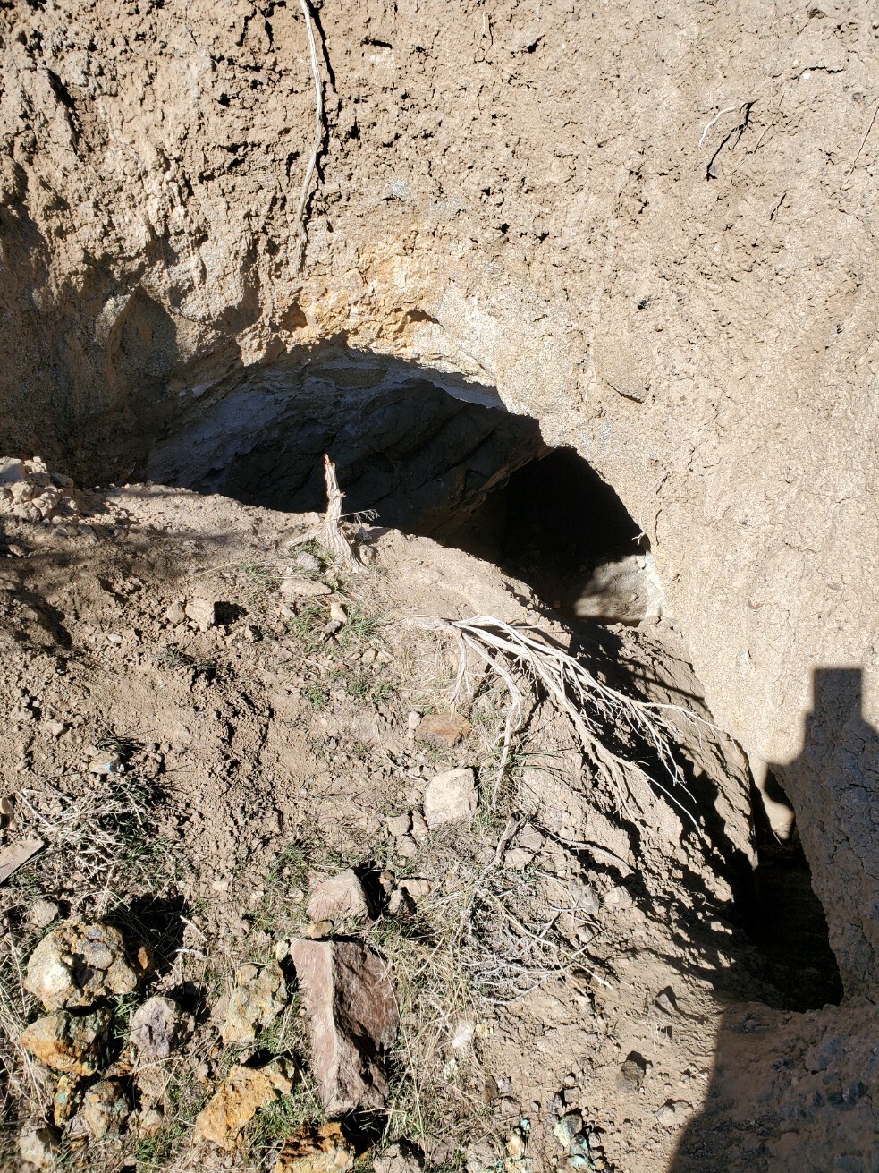 Steiner Mine near Lovelock Nevada Silver Gold Mining Claim with Big