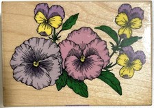 Big Pansies Rubber Stamp Wood Mount Hero Arts 2.25x3.25" Flowers