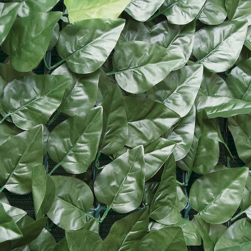 TENAX Siepe di lauro, 1,5x3 mt, verde