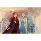 Disney Frozen II Anna & Elsa Trust Your Journey Pillowcase Double Sided Regular