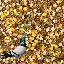 Pigeon Dove Seed Wild Bird Feed Food Birds in Zipper Bag Different Sizes 17.5%