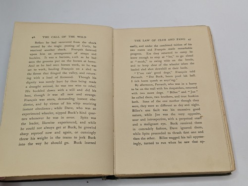 The Call of the Wild by Jack London, Early 10th Printing, 1905, Hardcover - Picture 18 of 23