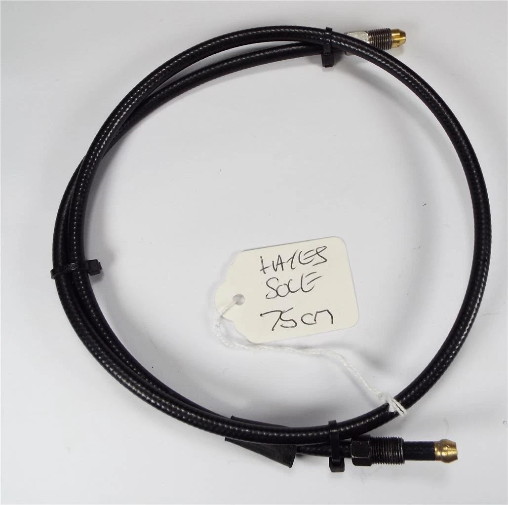 Hayes sole cheap hydraulic brakes