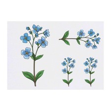 4 x 'Forget Me Nots' Temporary Tattoos / Transfers TO00076480 