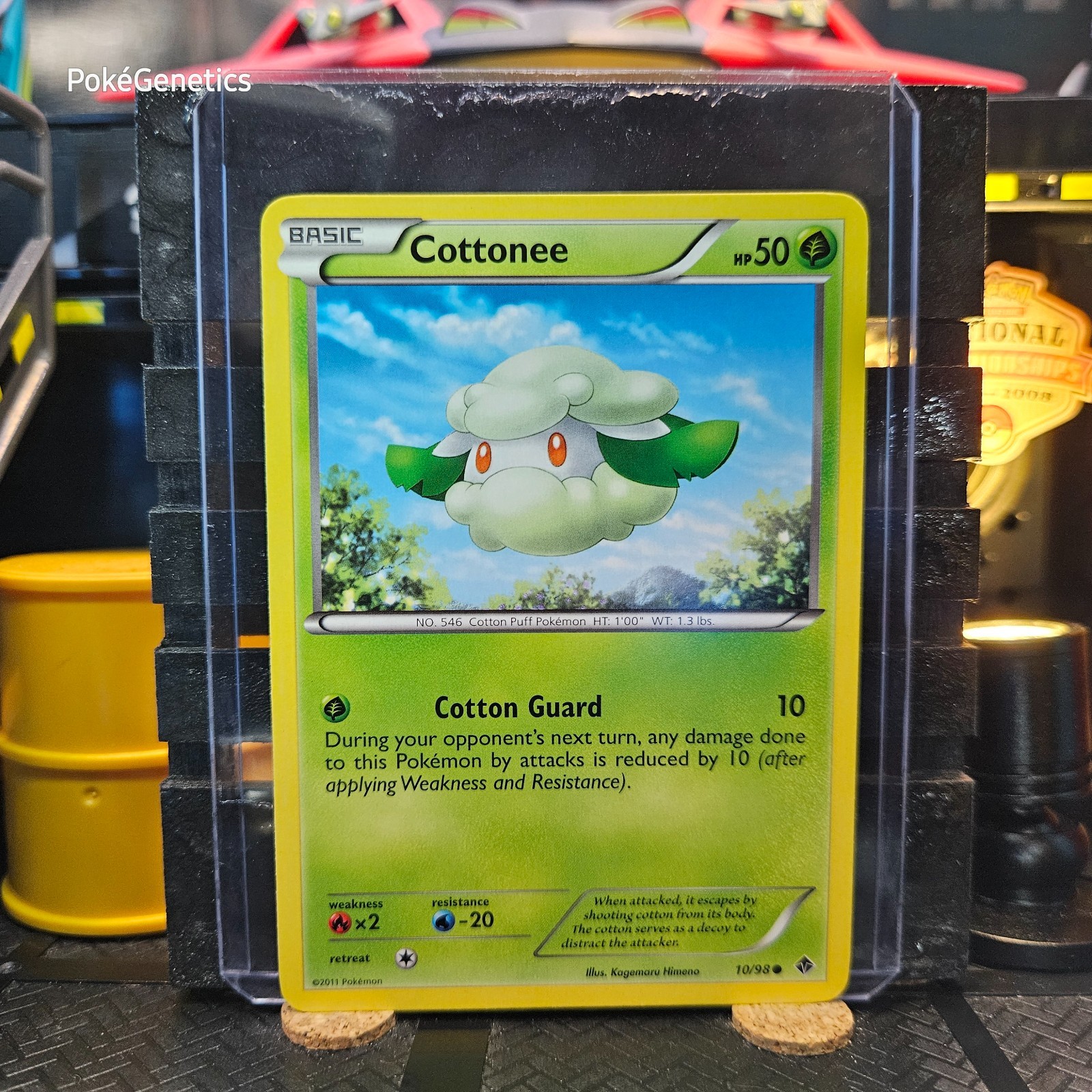 Cottonee Emerging Powers Pokémon TCG 10/98 Black & White 2 Common