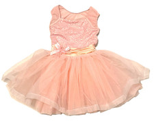 Blush Pink Sequins Tulle Princess Dance Costume Intermed Child IC Ballet Dress