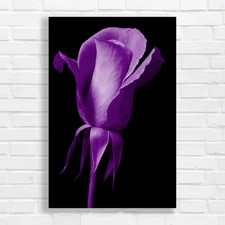 Improve Website Metadata For Better Seo Results Purple Canvas Print Large