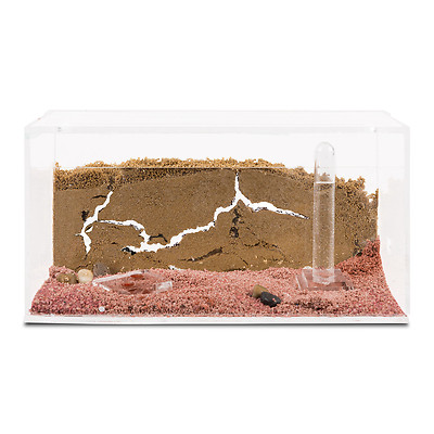 AntHouse - Natural Sand Anthill 3D Basic Kit (Sandwich Foraging Box) Grey Ants