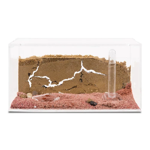 Sand Ant Farm(Anthill, Formicarium, Educational, Ants)