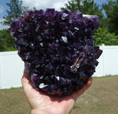 Black GRAPE Uruguay AMETHYST Quartz 8 Pound Crystal Points Cluster For Sale