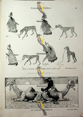 Kleiner Hund zum großen Hund gemacht, Kinderbilder, Buchillustration, 1893