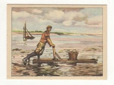 Scenes of the Netherlands Trade Card. #49 Fishing on the mud flats with a sledge