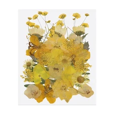 30 Pcs Dried Pressed Flower Leaves Bulk for Resin, Fragrant Series Bright Yellow
