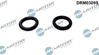 Dr.Motor Automotive Dichtung ÖLküHler FüR Ford Focus Turnier 1.8 Turbo