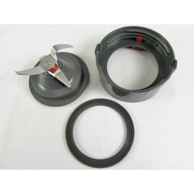 blueberry mixer grinder price