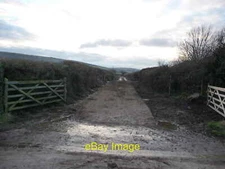 Photo 12x8 Studland : Farm Track A track leading to a field near Manor Far c2010