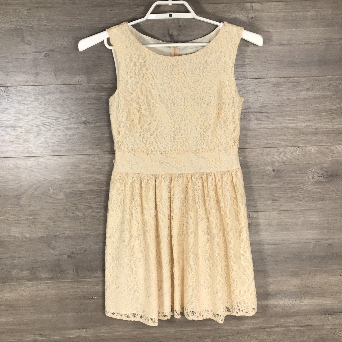 Ann Taylor LOFT Women Size 4P Petite Sleeveless Lace Overlay Dress Beige Silver Ann Taylor LOFT Women Size 4P Petite Sleeveless Lace Overlay Dress Beige Silver