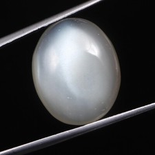 South Africa 19.20 Cts Moonstone Oval Cabochon Loose Gemstones Size 20x16x7 mm