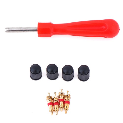 1Set Tire Valve Service Kit Valve Cores Screwdriver Tire Repair Car Motorcy -fo - Picture 8 of 12