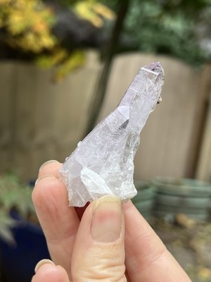 Vera Cruz Amethyst Purple Crystal Companion Cluster 7