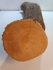 1 Stamm Drechselholz Buchsbaum Buxus Buchsbaumholz Edelholz 2156g TOP !!! D=75mm