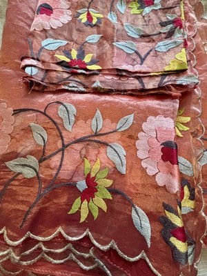 Orange / Peach Tissue Banaras Handloom Silk Saree Embroidered Boarder Blouse