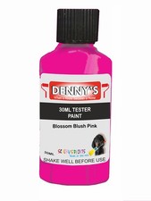 Dennys Emulsion Walls Paint - Blossom Blush Pink
