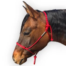 Double Diamond 6mm Nylon Reata Halters Brannaman Series