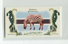 2010 Topps Allen & Ginter Mini National Animals Zebra