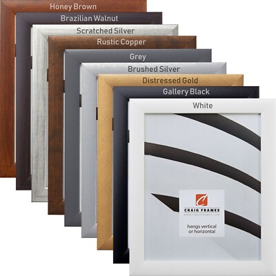#ad Modern Poster or Picture Frame – 9 Colors – Wall Display – Select a Size $32.99