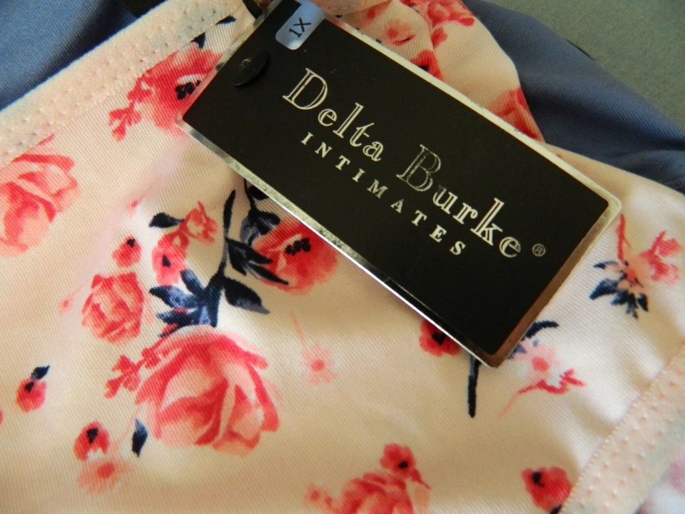 Nuevo DELTA BURKE BRIEPS Lencería Íntima 5 piezas Azul Rosa Azul Marino Talla Grande 1X Foto 3 de 4
