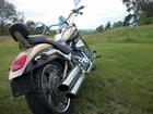 2003 Harley Davidson Softail