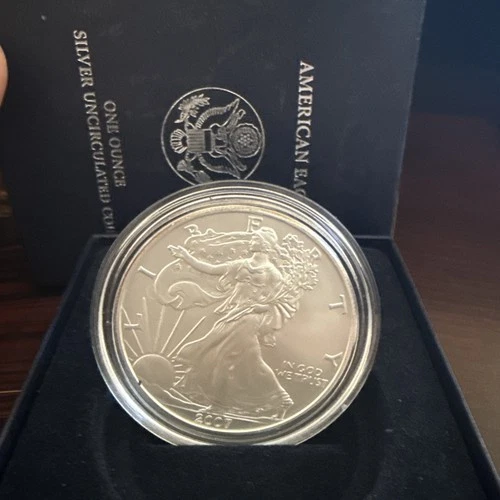 2007-W (Burnished) Silver Eagle   No Coa No Min Low Start Just Silver Baby!!!