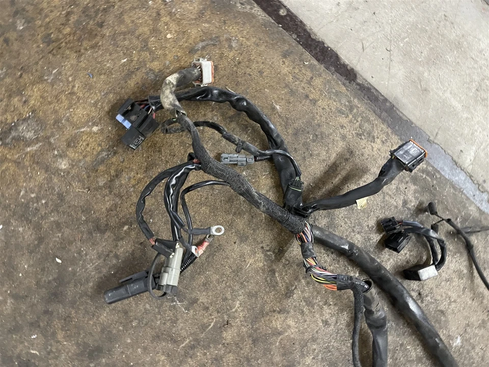 Arnés de cableado principal OEM Harley Davidson Sportster XL 1200 883 06 2006 Foto 2 de 4