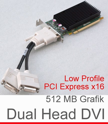 Graphic Card VGA Dual Head 512MB Nvidia Quadro Nvs 300LOW Profile Pci-E G14 +2K - 第 1/1 張圖片