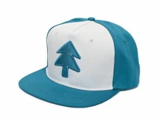 Dipper Aqua Pine Flat Hat Embroidered Unisex- Adult Gravity Falls Cap