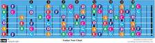Color Coded Guitar Fretboard Note Chart, Learn Guitar Notes  Music Theory Fast