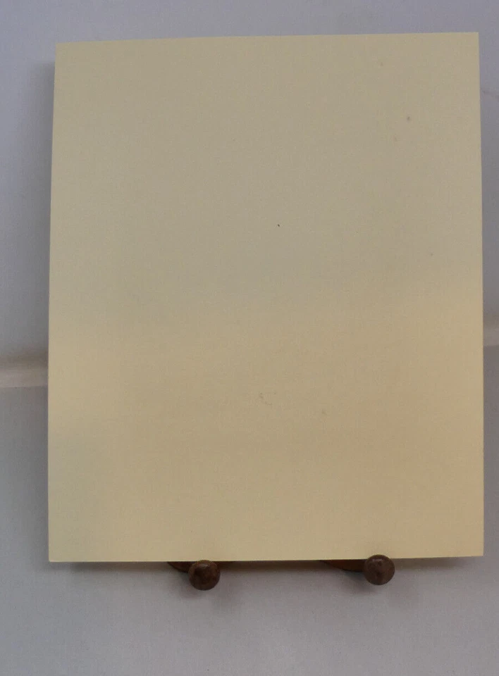 SALISBURY VIEW in THE HIGH STREET LOOKING SOUTH 1829 handkolorierte Radierung - Bild 3 von 3