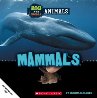 Mammals (Wild World: Big and Small Animals) by Maloney, Brenna