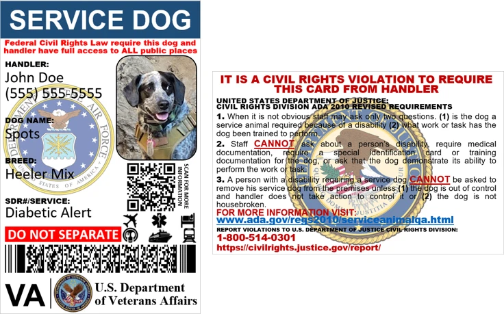 HOLOGRAPHIC VETERAN MILITARY SERVICE DOG ID CUSTOMIZABLE PHYSICAL & DIGITAL - Image 3 of 4